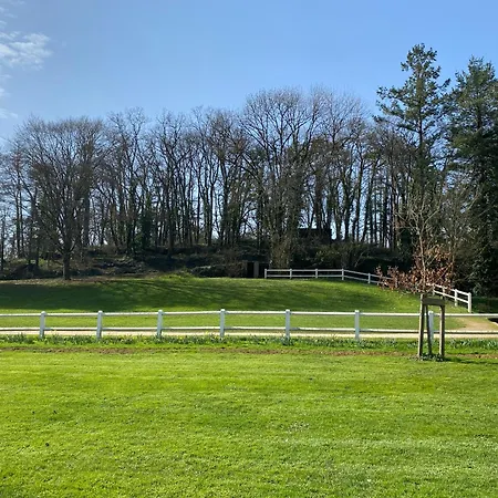 Logis Le Saint Georges 비본느