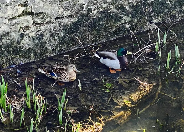Logis Le Saint Georges Hotel Vivonne
