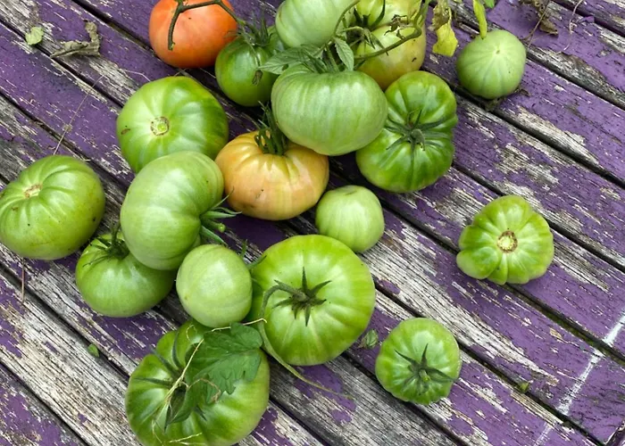 Logis Le Saint Georges 3* Vivonne