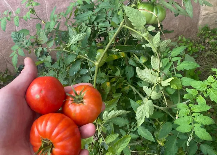 Logis Le Saint Georges Hotel 3*