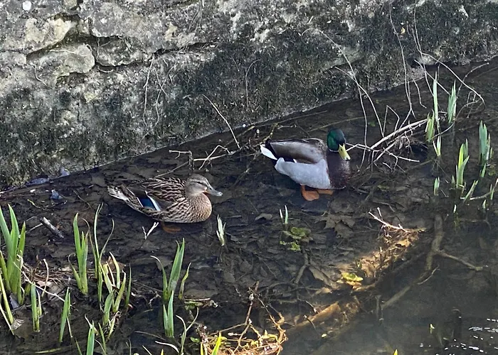 Logis Le Saint Georges Hotel Vivonne